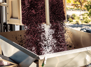 How Wine Is Made